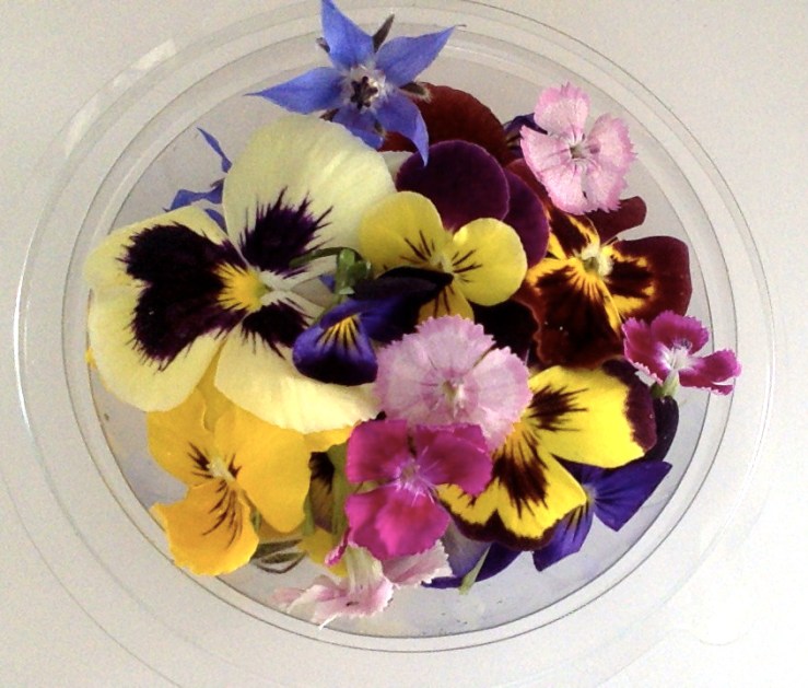 mini mix Flores Comestíveis_ Verde Caldas