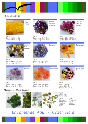 Encomende Aqui 2_ verdecaldas