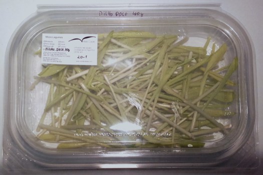 milho-doce-verdecaldas