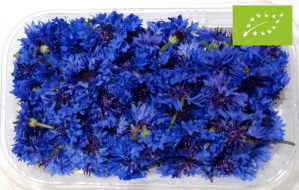 Flores de Centaureas 80 unidades