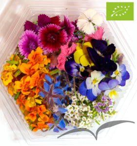 Mistura de Flores pequenas ±100 unidades